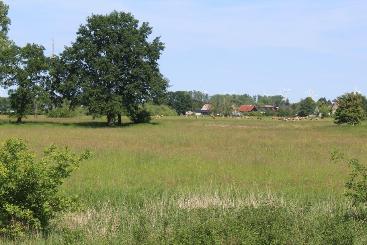 Spreewald Ferienwohnung Luebben Bagian luar foto